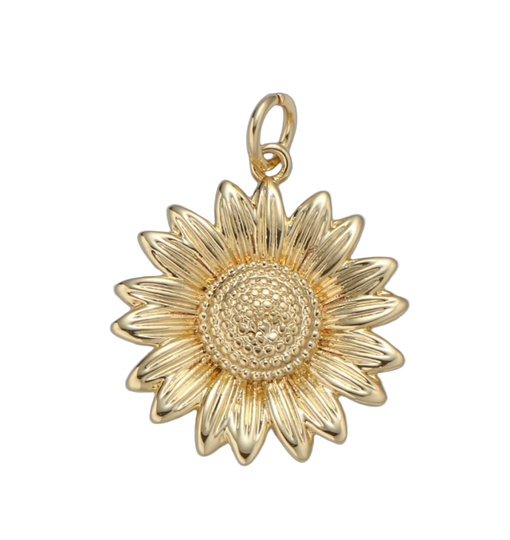 Cierra Charm